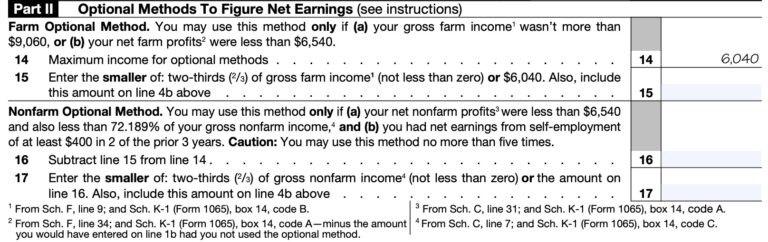 Schedule SE Instructions - Self-Employment Tax