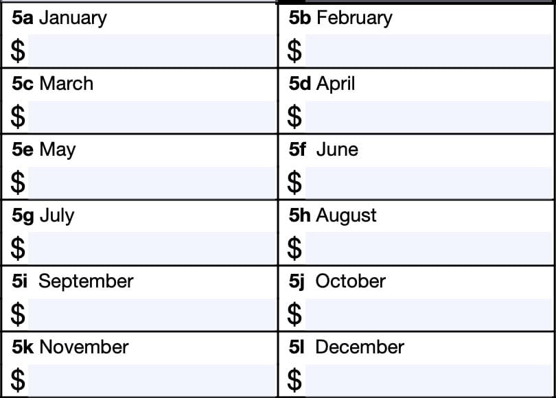 irs form 1099-k, transactions by month